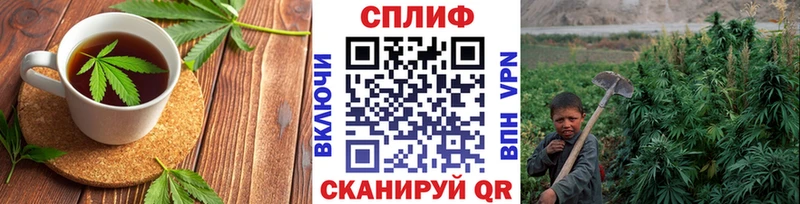Cannafood марихуана  что такое наркотик  Новоржев 