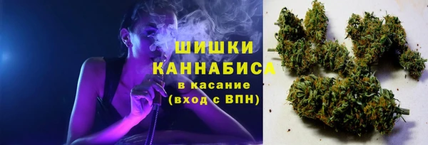 мдпв Волосово